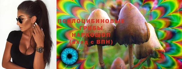 a pvp Аркадак