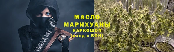 сатива Армянск