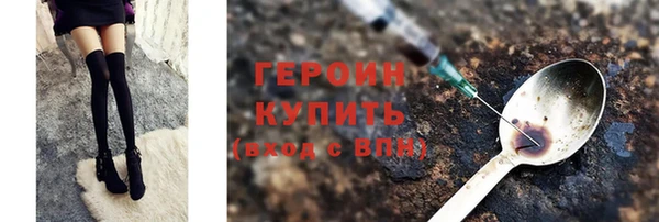 индика Арсеньев