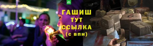 сатива Армянск