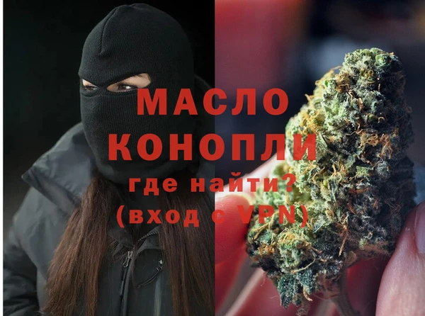 индика Арсеньев