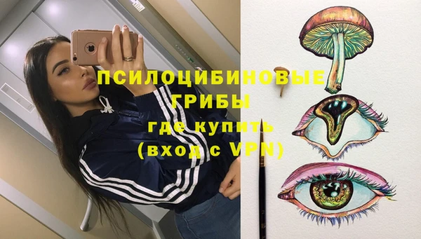 индика Арсеньев