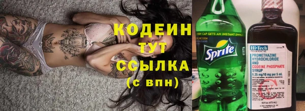 индика Арсеньев