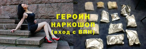 индика Арсеньев
