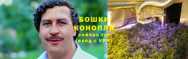 сатива Армянск