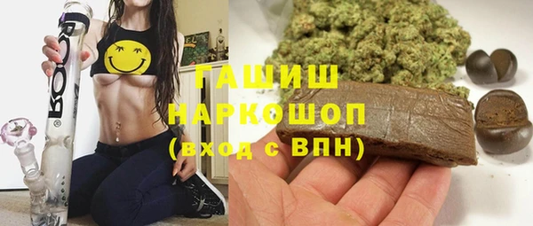 индика Арсеньев