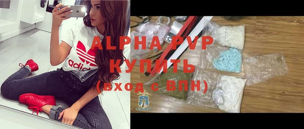 индика Арсеньев