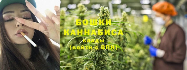 сатива Армянск