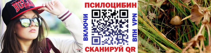 blacksprut маркетплейс  Будённовск  Псилоцибиновые грибы мухоморы  как найти наркотики 